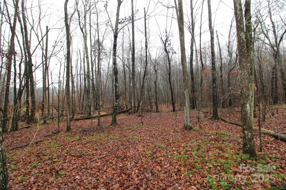 4.63+/-AC Eaker Road #LOT 2 Bessemer City, NC 28016