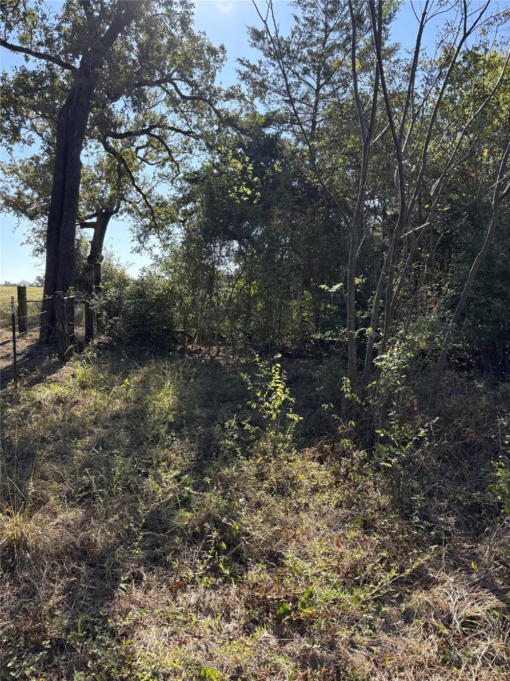 Cr 163 Caldwell, TX 77836
