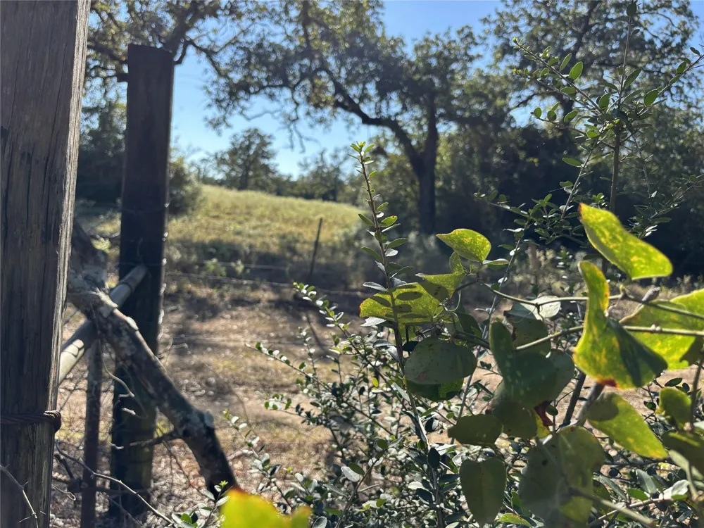Cr 163 Caldwell, TX 77836