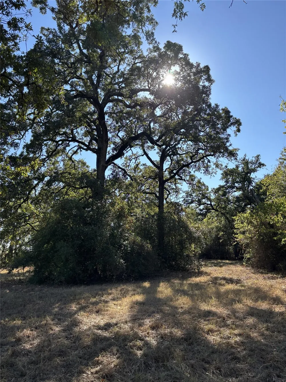 Cr 163 Caldwell, TX 77836