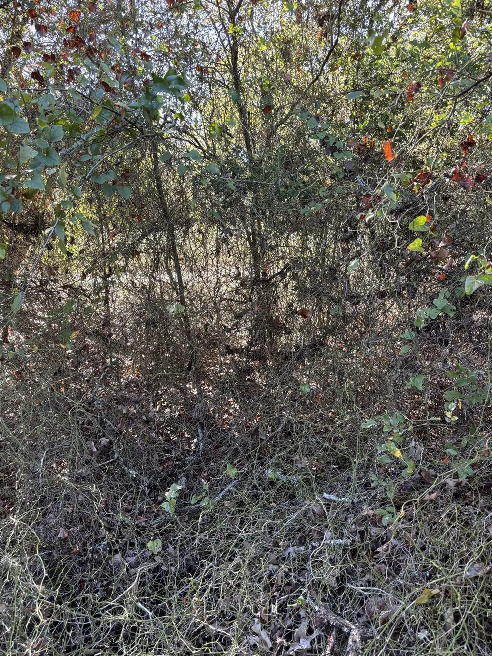 Cr 163 Caldwell, TX 77836