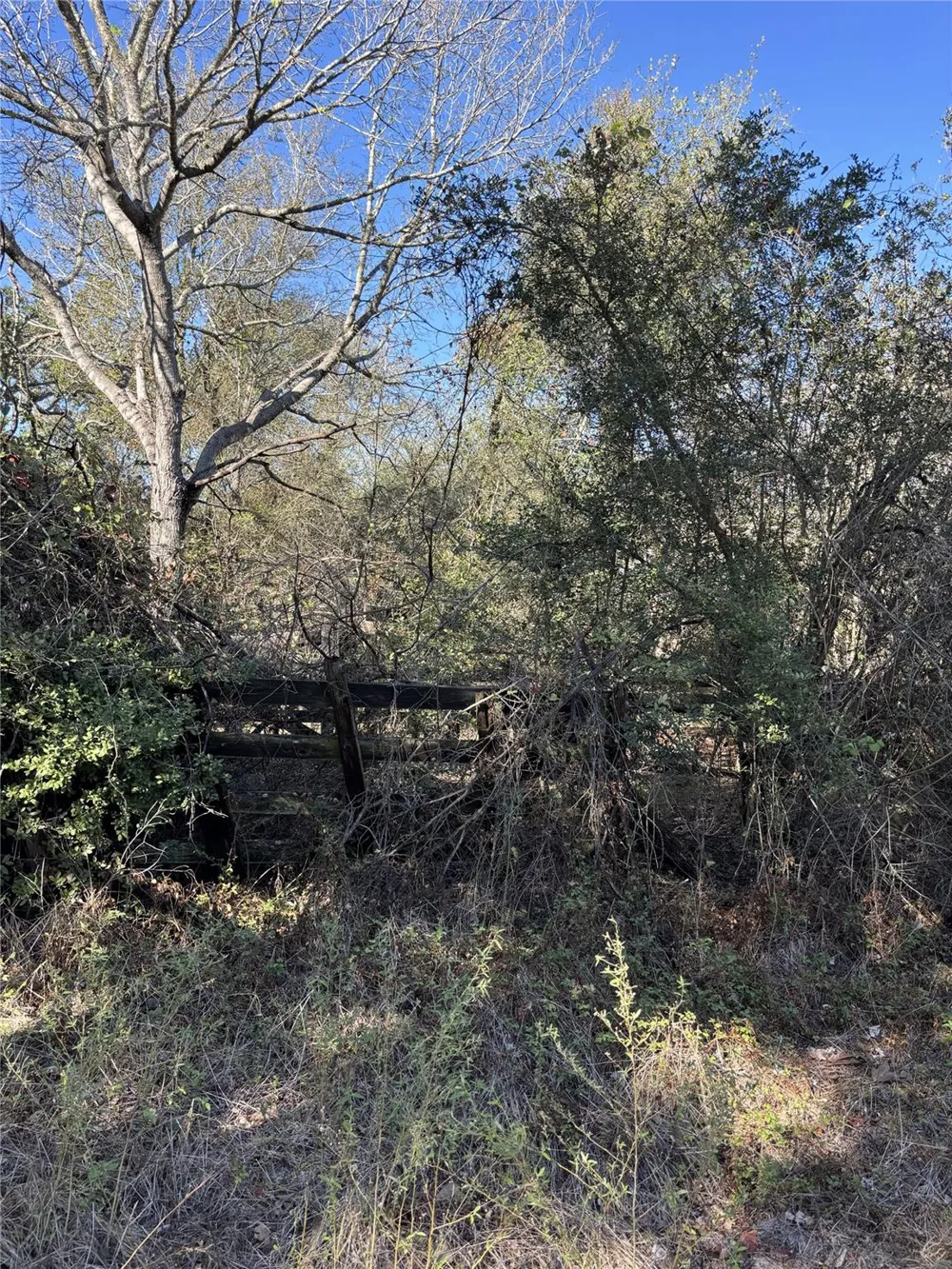 Cr 163 Caldwell, TX 77836