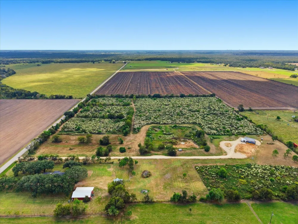 6 Cow Creek Road Damon, TX 77430