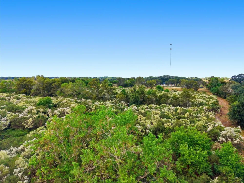 6 Cow Creek Road Damon, TX 77430