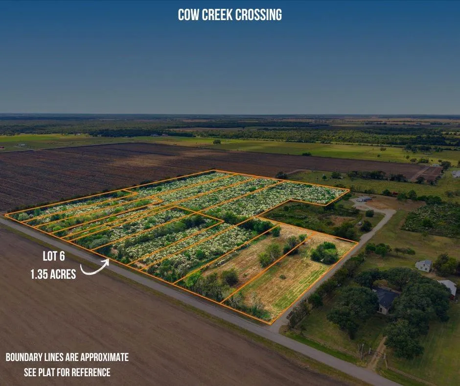 6 Cow Creek Road Damon, TX 77430