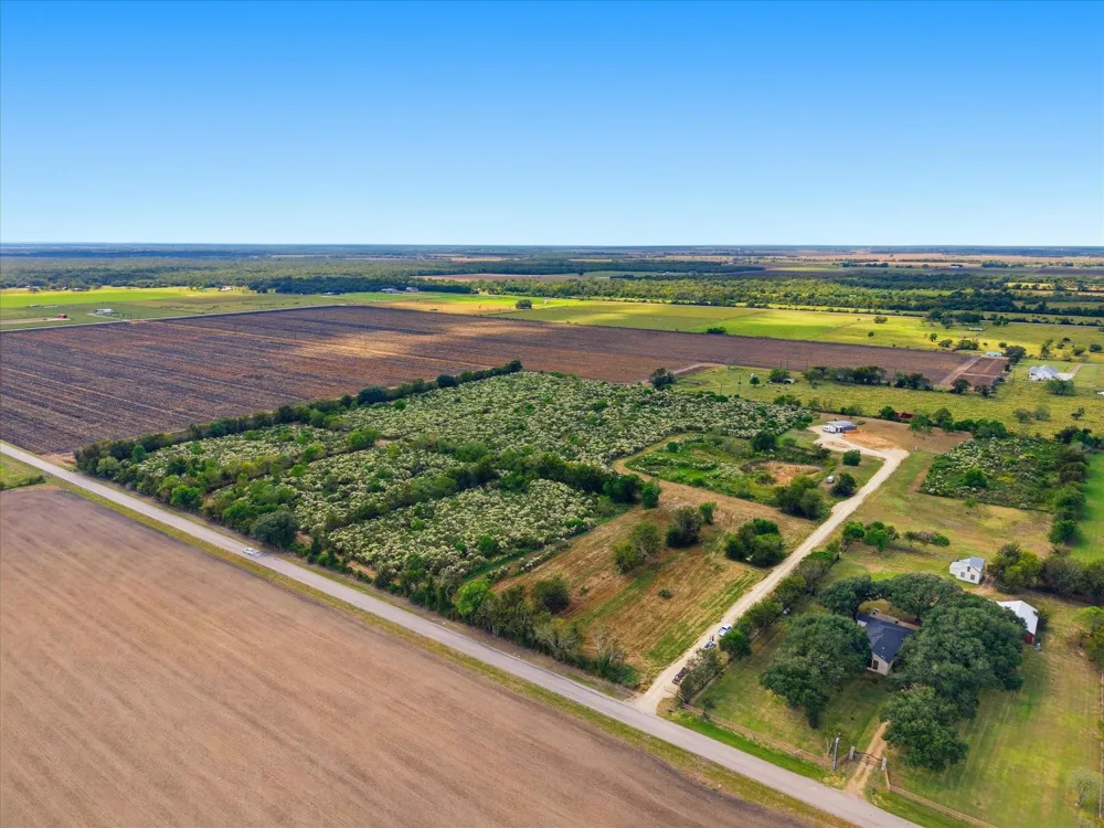 6 Cow Creek Road Damon, TX 77430