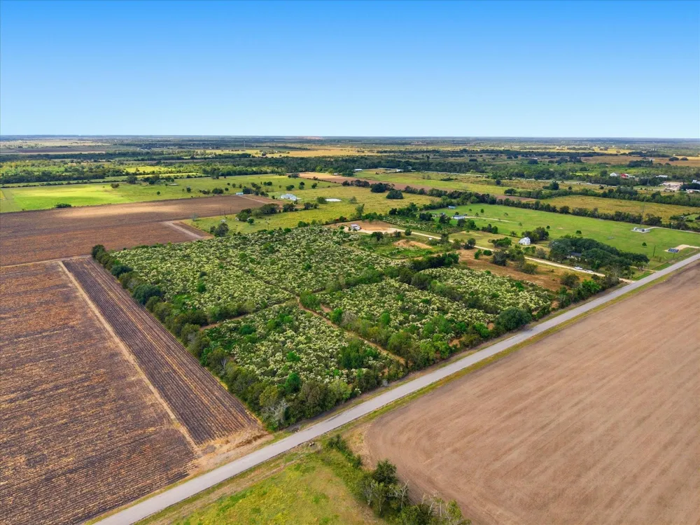 6 Cow Creek Road Damon, TX 77430