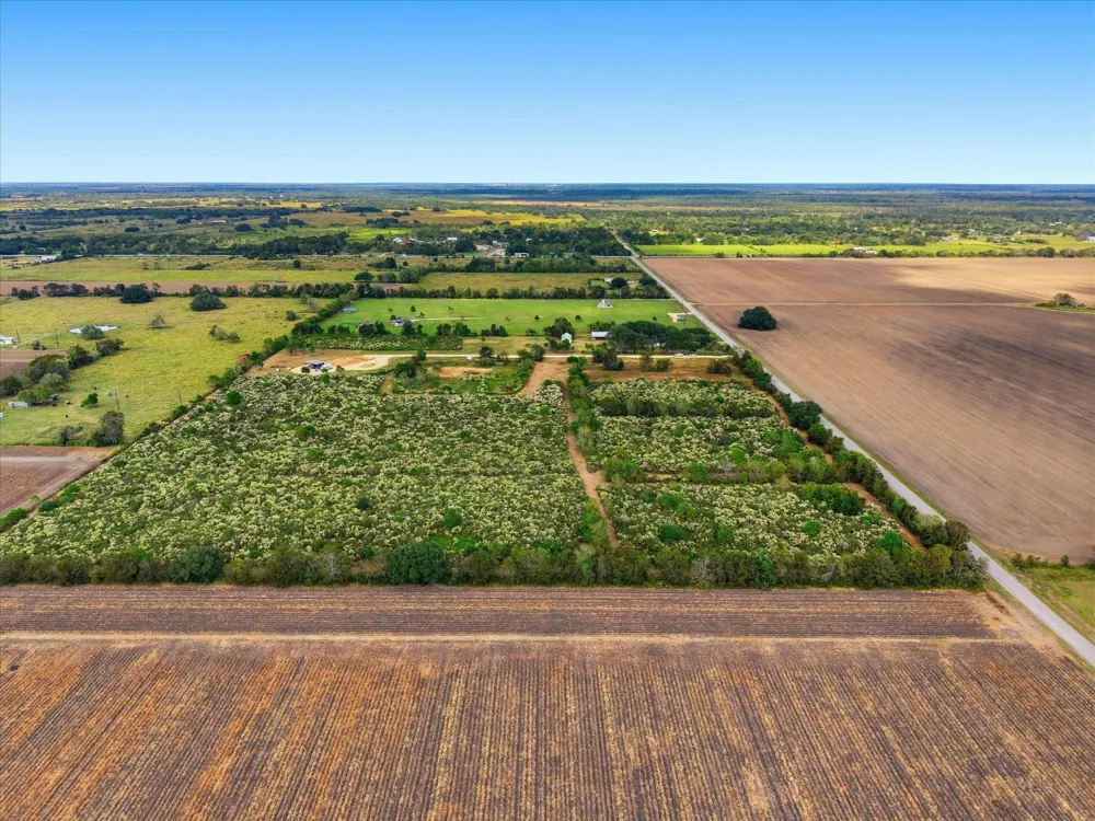 6 Cow Creek Road Damon, TX 77430