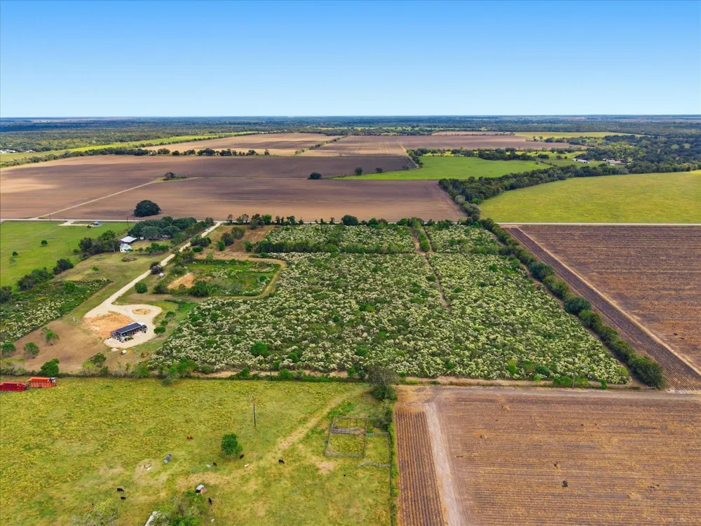 6 Cow Creek Road Damon, TX 77430