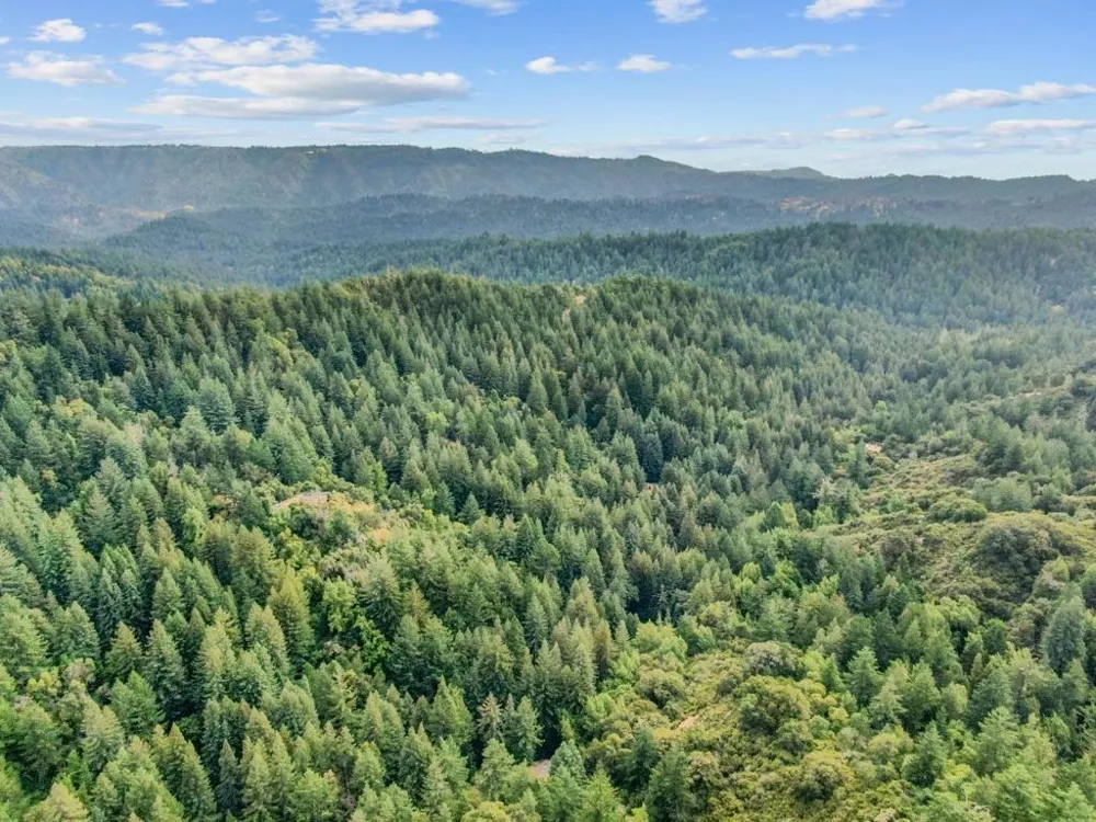 975 Logan Creek Road Boulder Creek, CA 95006