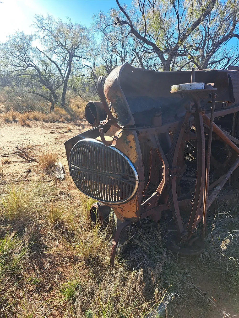 158.50 ACRES Trent, TX 79561