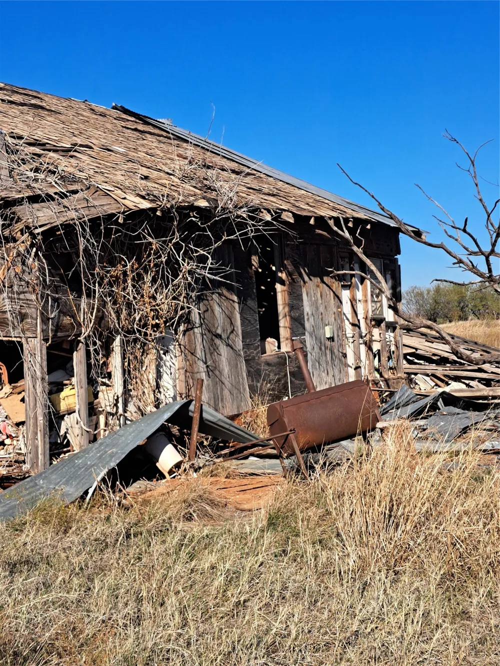 158.50 ACRES Trent, TX 79561