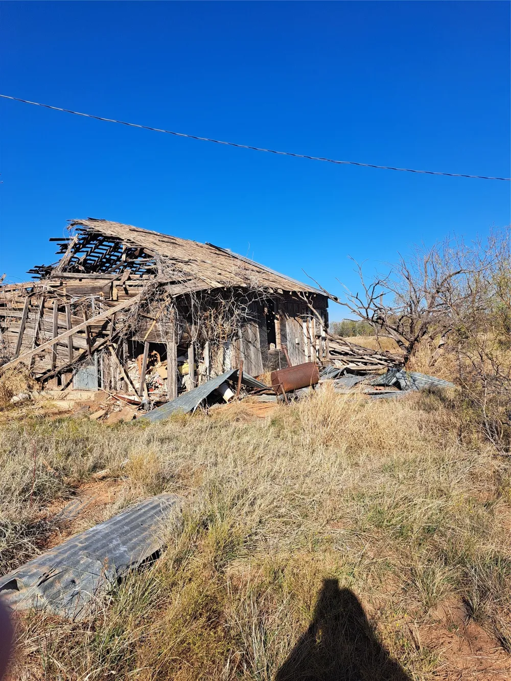 158.50 ACRES Trent, TX 79561