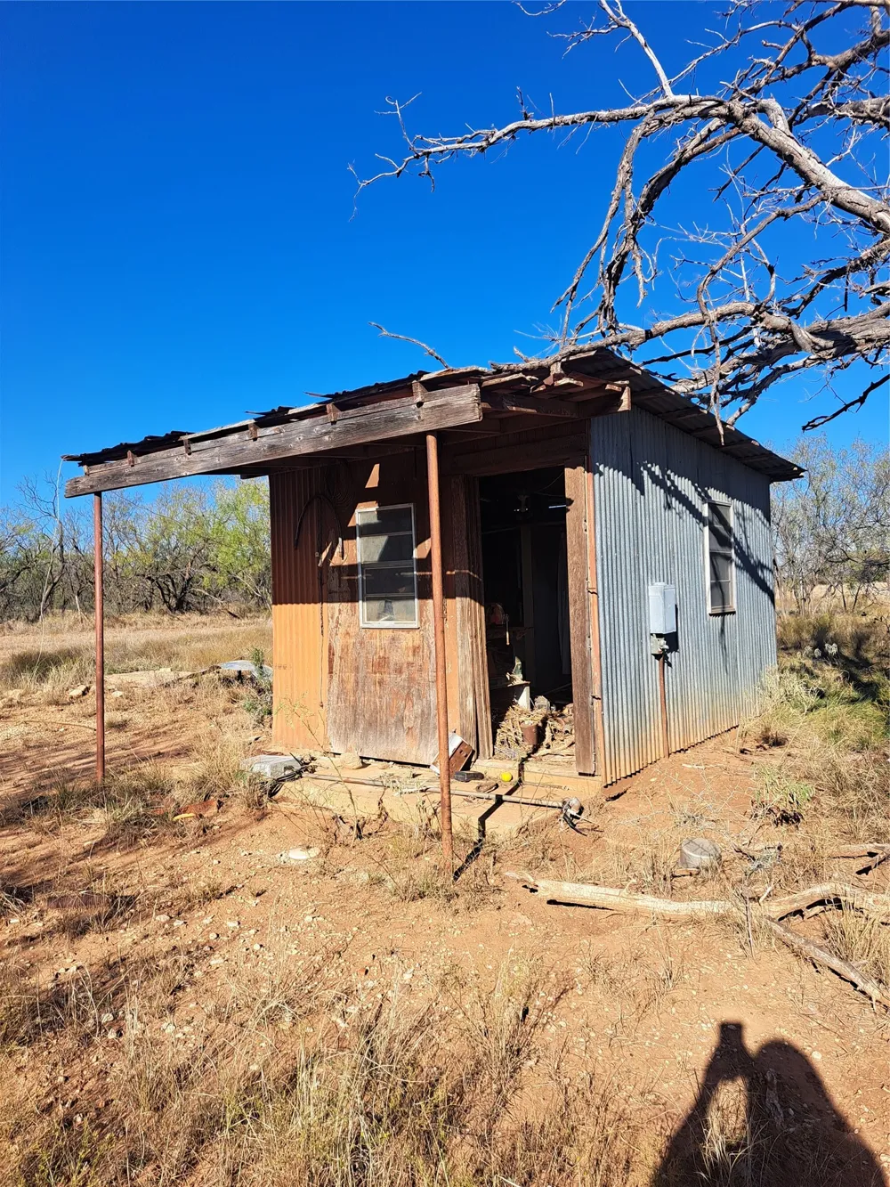 158.50 ACRES Trent, TX 79561