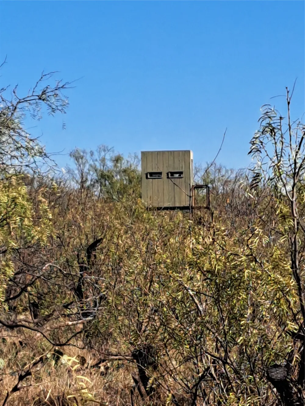 158.50 ACRES Trent, TX 79561