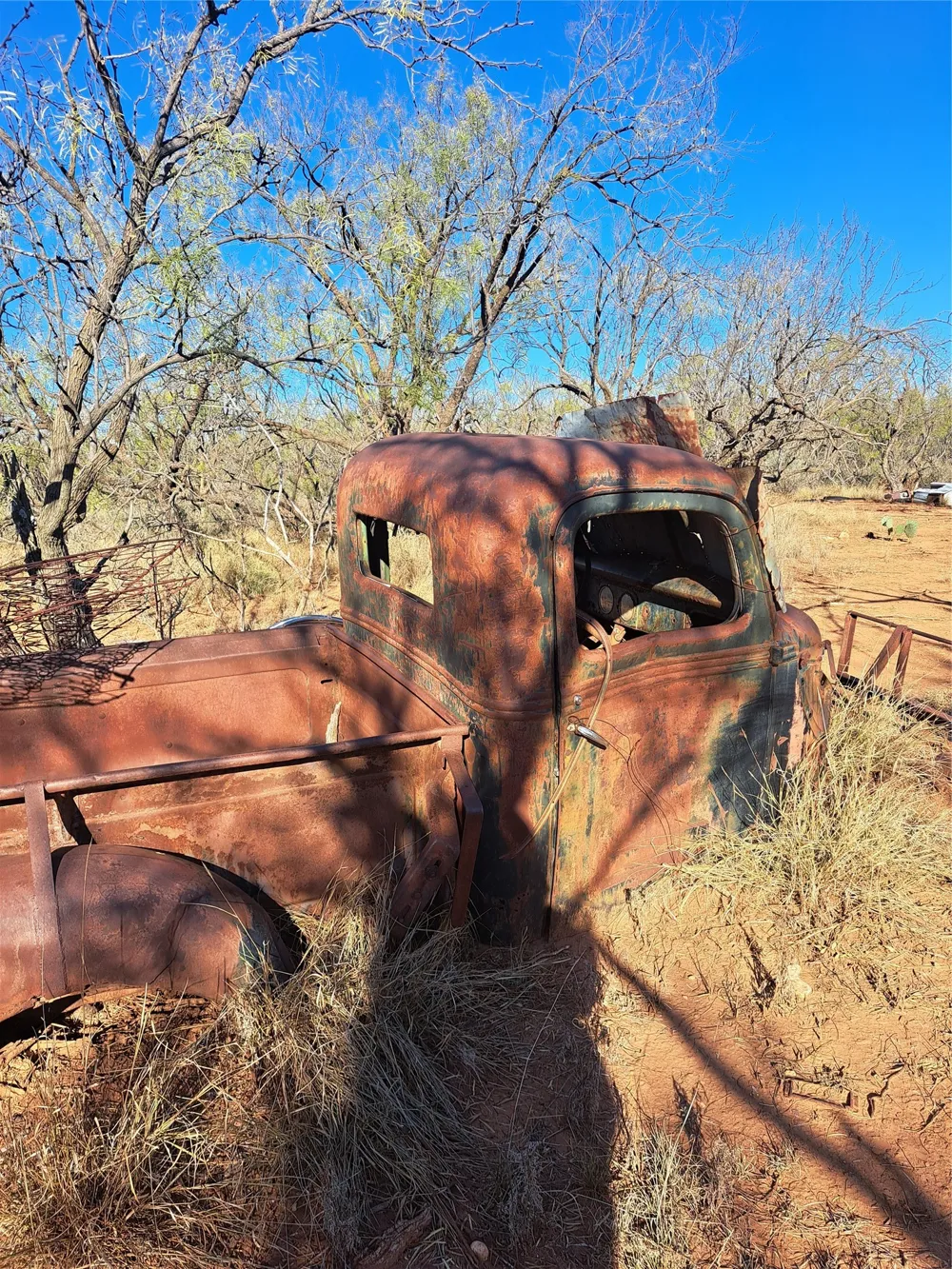 158.50 ACRES Trent, TX 79561