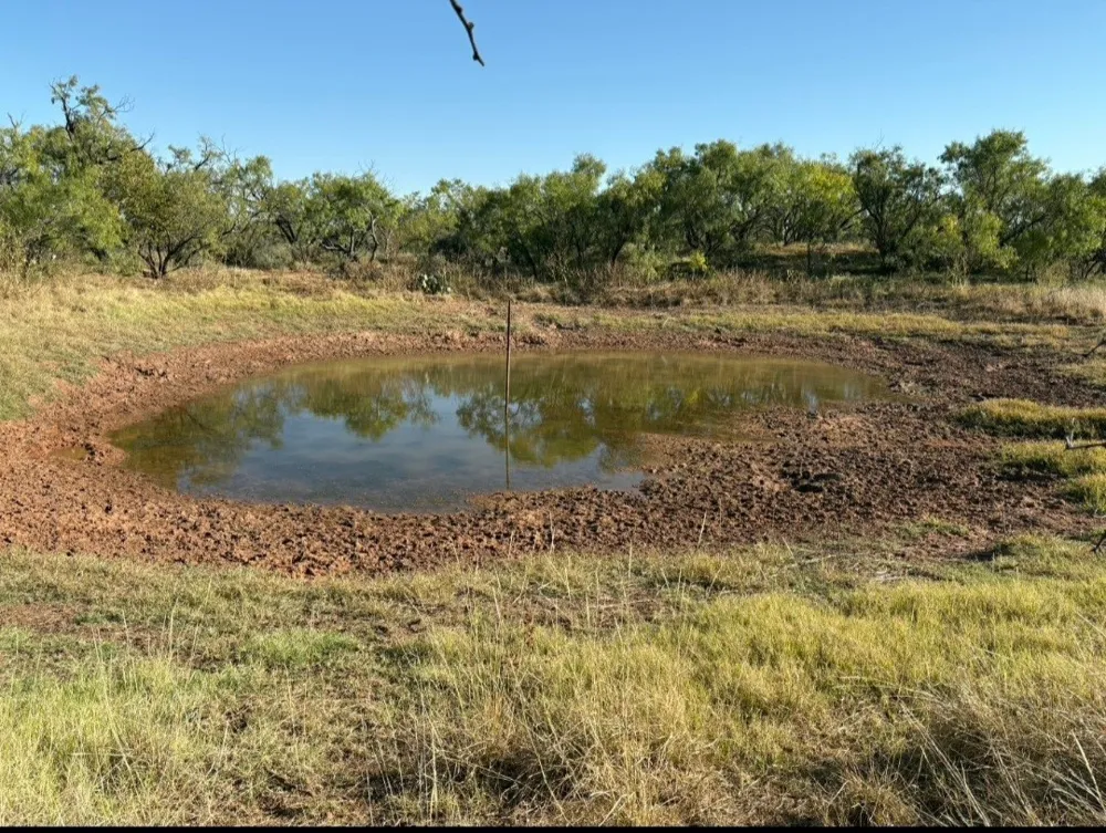 158.50 ACRES Trent, TX 79561