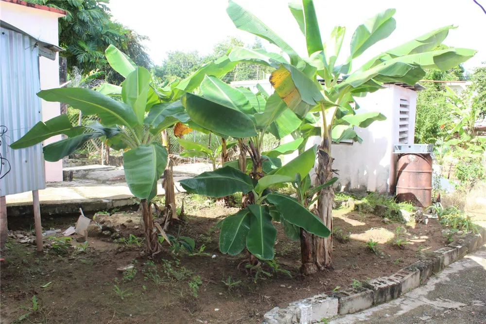 19 CALLE CORAL Vieques, PR 00765