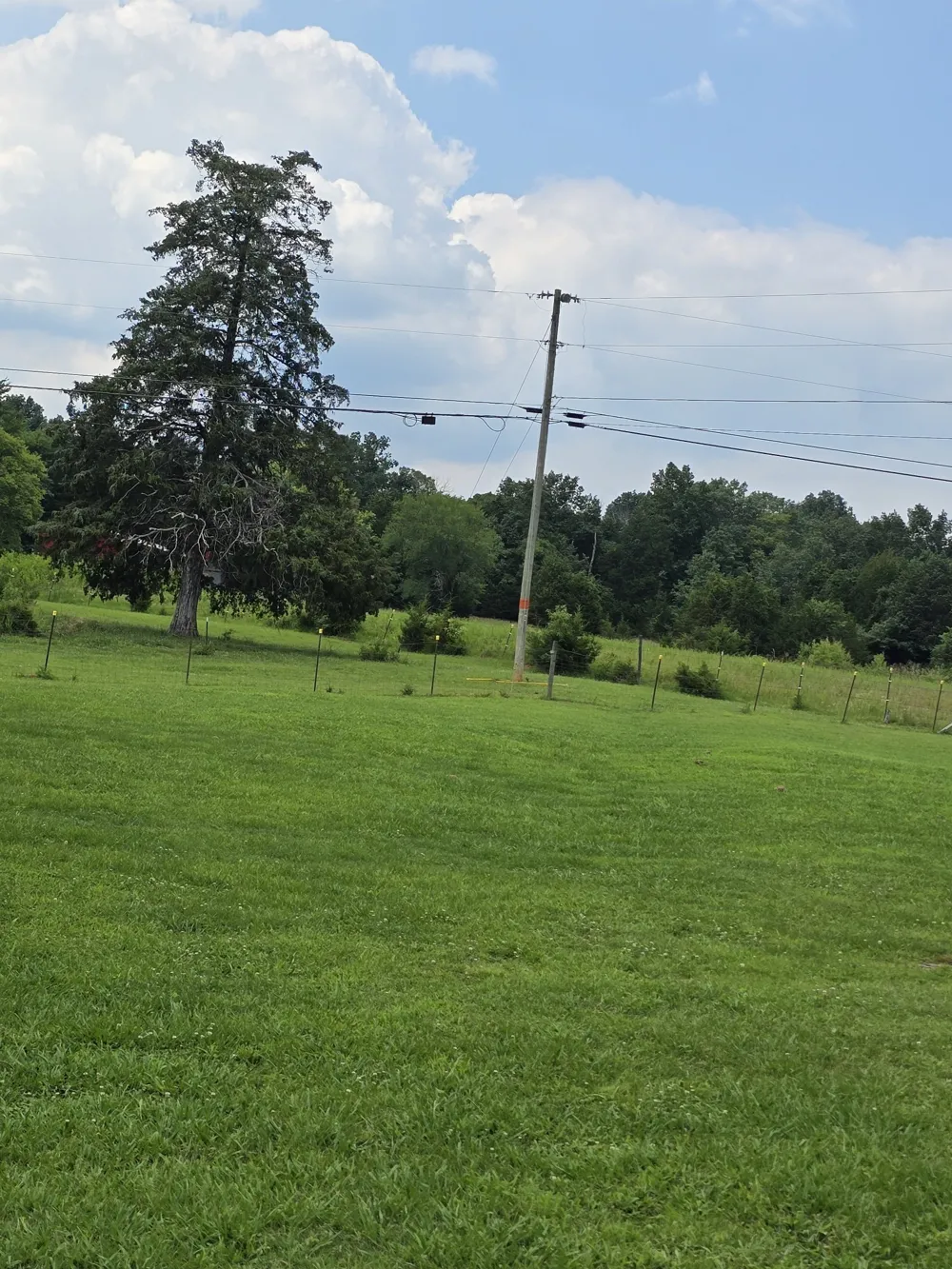0 Lunns Store Rd Chapel Hill, TN 37034