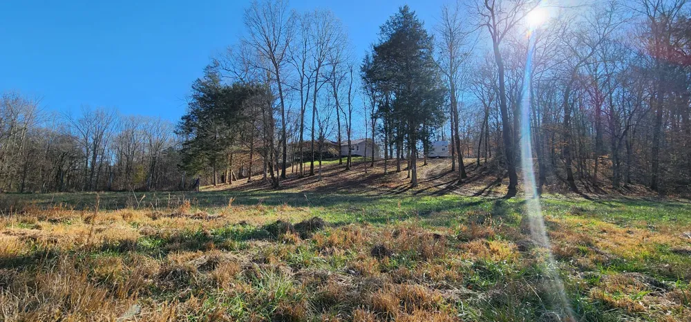 440 Deer Creek Rd Linden, TN 37096