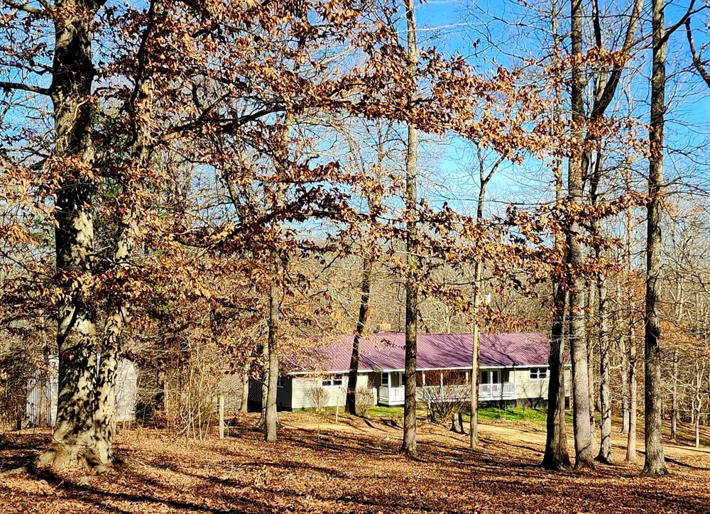 440 Deer Creek Rd Linden, TN 37096