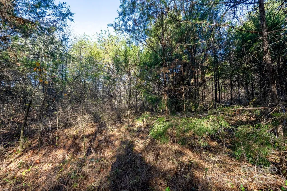 0 China Grove Highway Rockwell, NC 28138