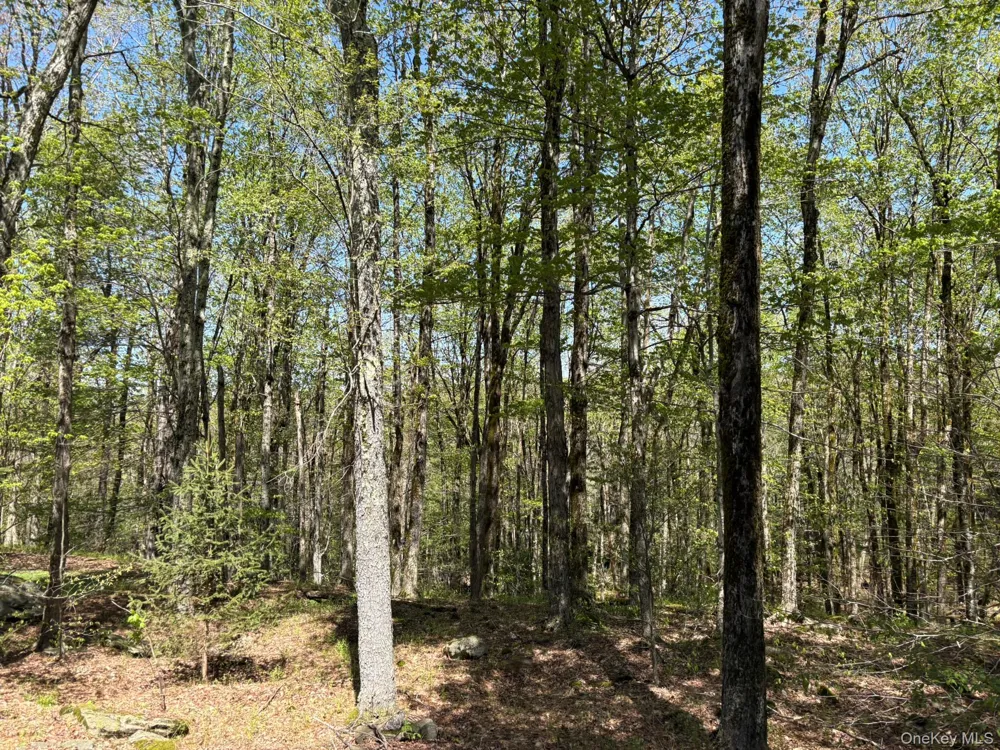 County Hwy 7 Roscoe, NY 12776