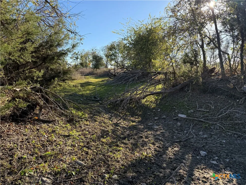 CR 225 Valley Mills, TX 76689