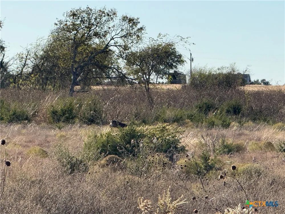 CR 225 Valley Mills, TX 76689