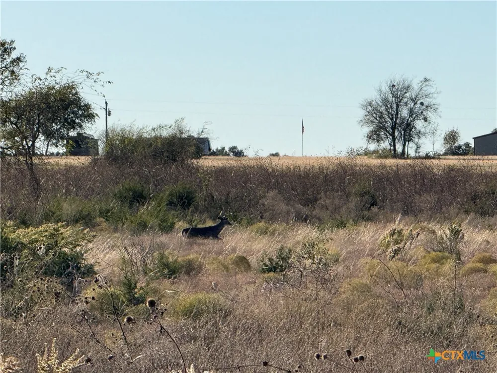 CR 225 Valley Mills, TX 76689