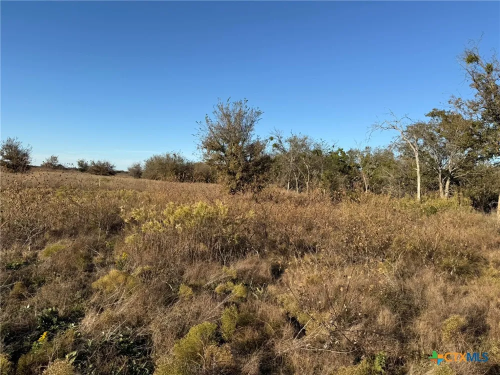 CR 225 Valley Mills, TX 76689