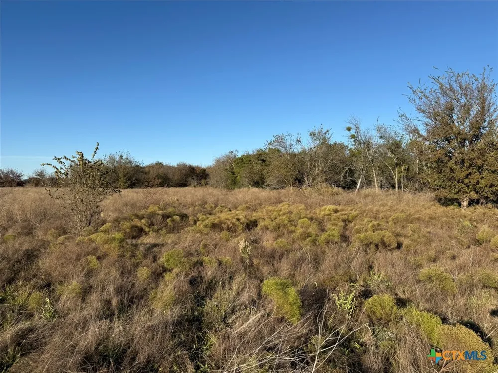CR 225 Valley Mills, TX 76689