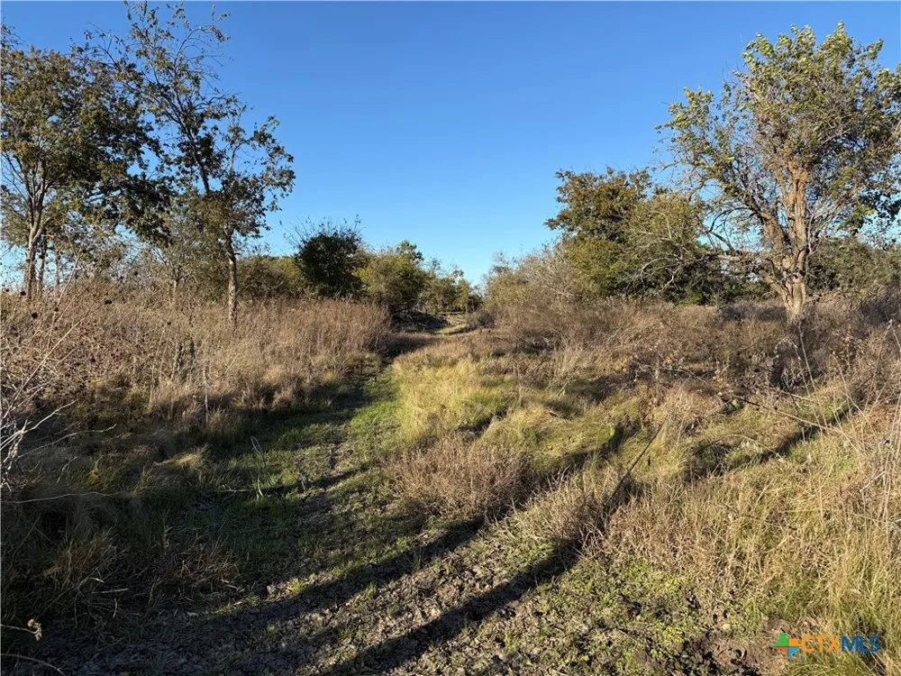 CR 225 Valley Mills, TX 76689