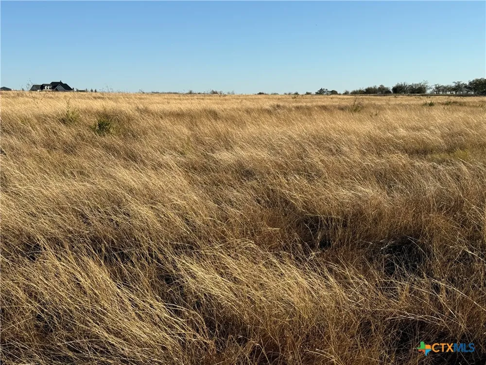 CR 225 Valley Mills, TX 76689