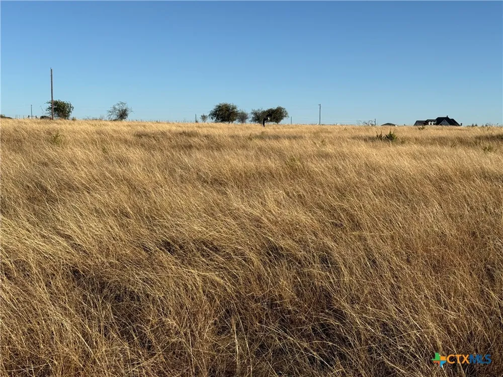 CR 225 Valley Mills, TX 76689