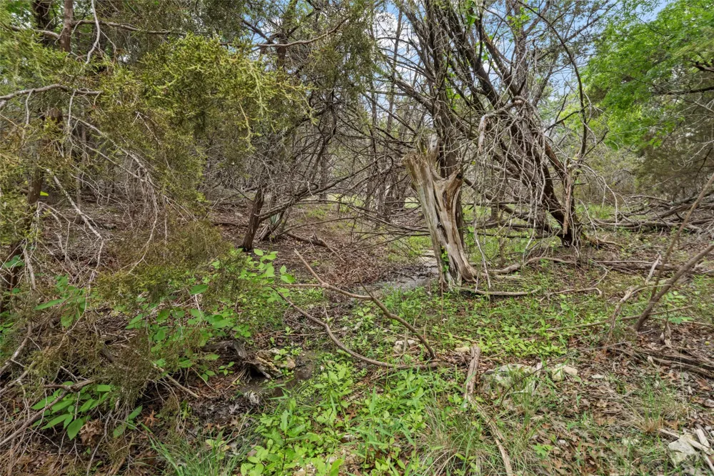 614 County Road 4165 Cranfills Gap, TX 76637