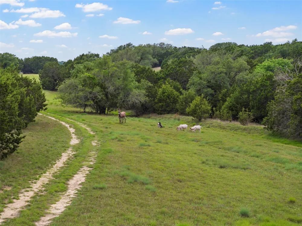 614 County Road 4165 Cranfills Gap, TX 76637