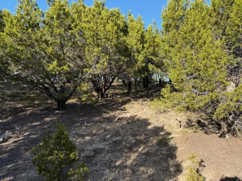 Caprock Court