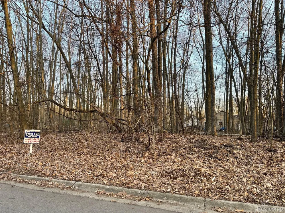 9127 Pineview Lake Argentine Township, MI 48451