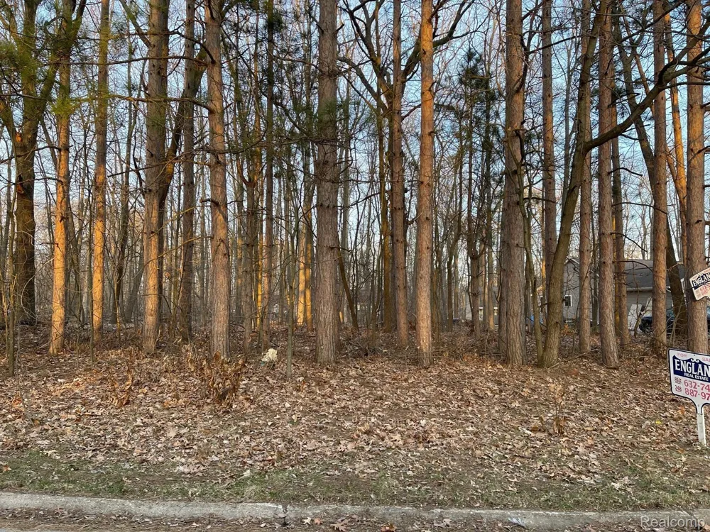 9127 Pineview Lake Argentine Township, MI 48451