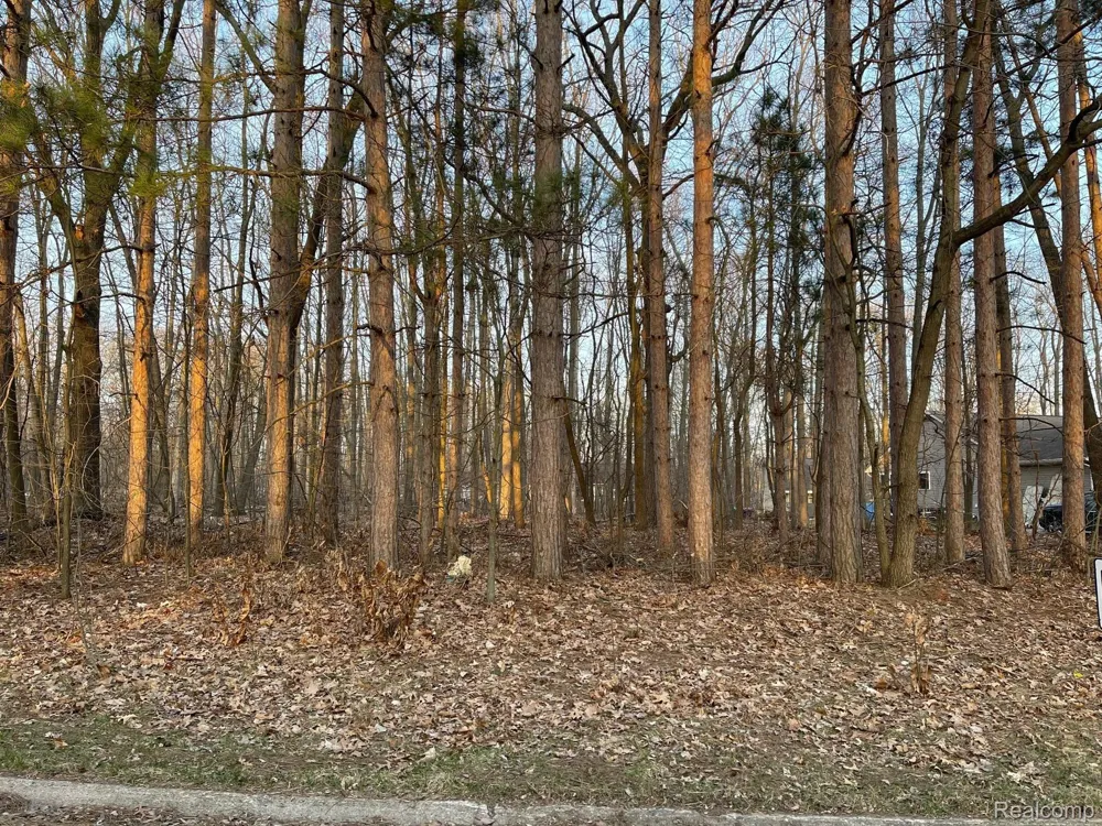 9127 Pineview Lake Argentine Township, MI 48451