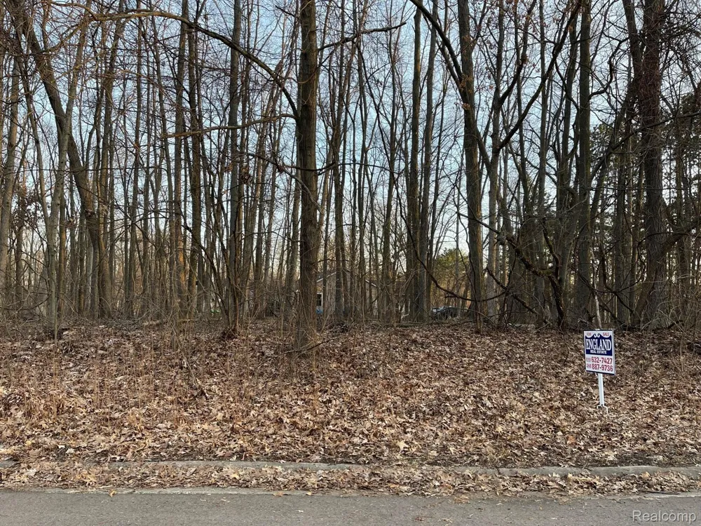 9127 Pineview Lake Argentine Township, MI 48451