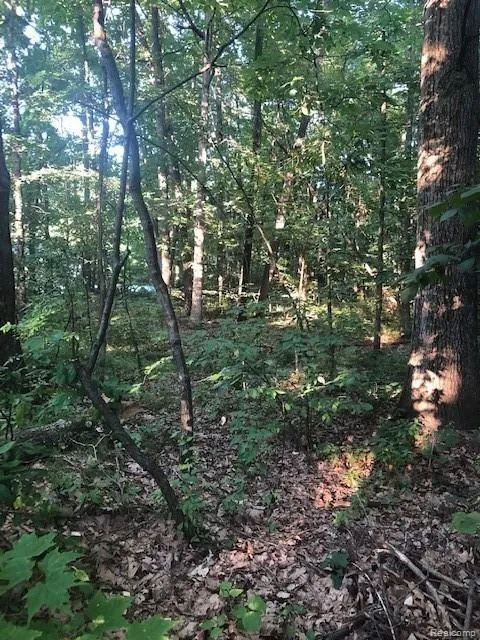 9127 Pineview Lake Argentine Township, MI 48451