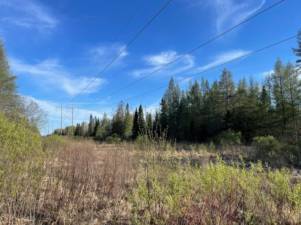 508 Cedar Valley RD Floodwood, MN 55736
