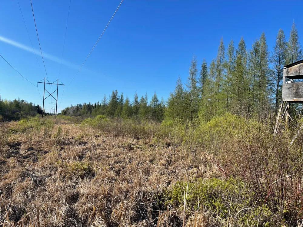 508 Cedar Valley RD Floodwood, MN 55736