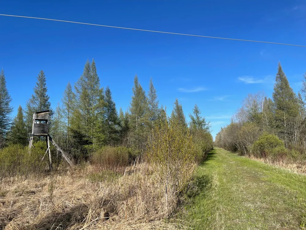 508 Cedar Valley RD Floodwood, MN 55736