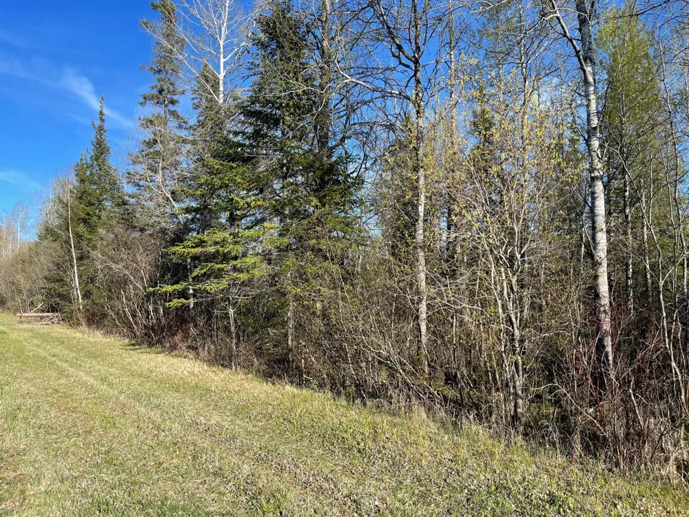 508 Cedar Valley RD Floodwood, MN 55736