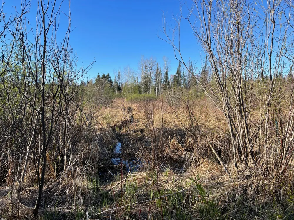 508 Cedar Valley RD Floodwood, MN 55736