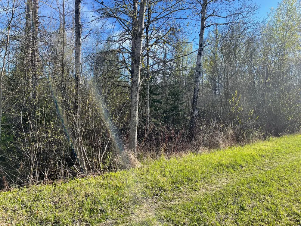 508 Cedar Valley RD Floodwood, MN 55736