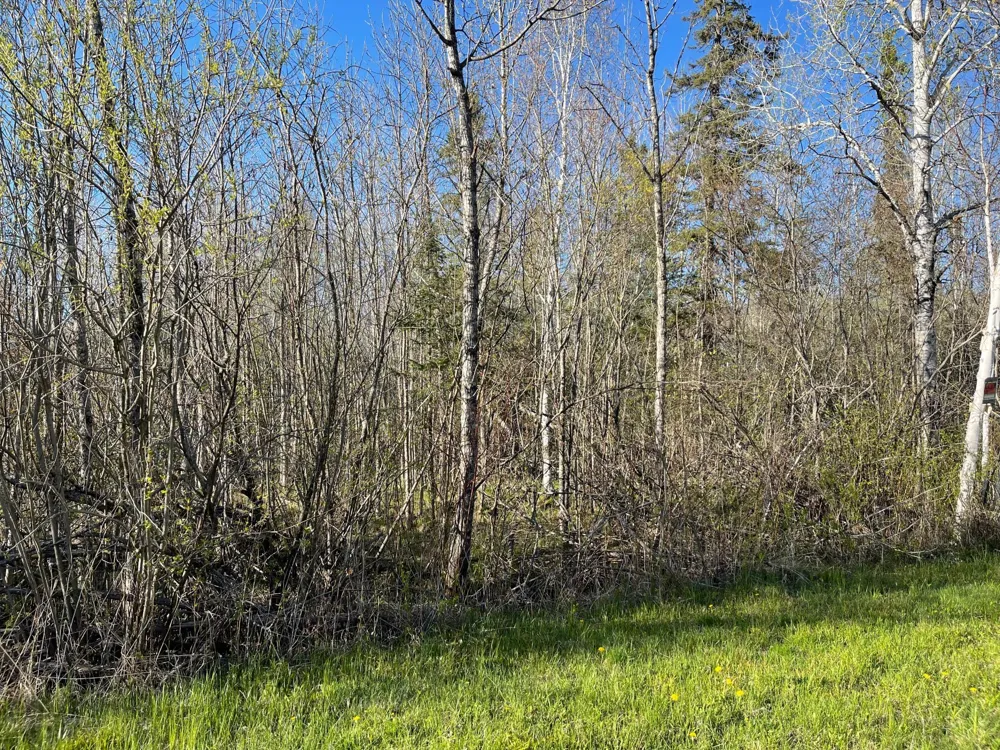 508 Cedar Valley RD Floodwood, MN 55736